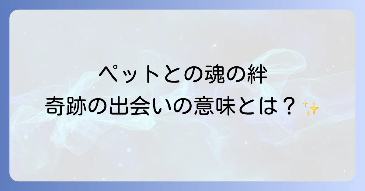 ペットとのご縁のスピリチュアルな意味と魂の絆を徹底解説