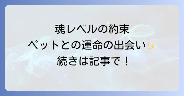 ペットとの出会いは偶然ではない?スピリチュアルなご縁の真実