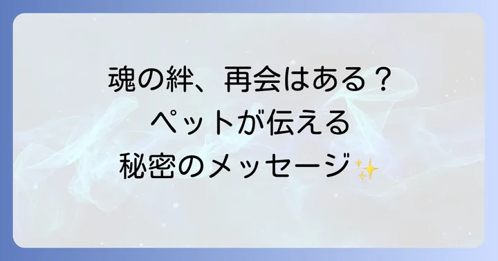 亡くなったペットとの魂の繋がりと再会