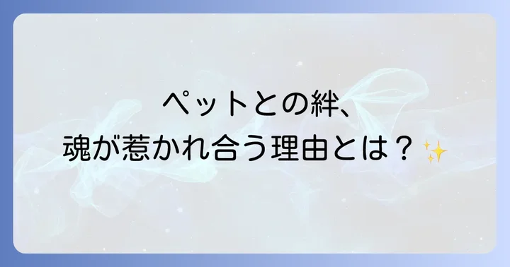 ペットとの絆を深めるスピリチュアルな実践方法