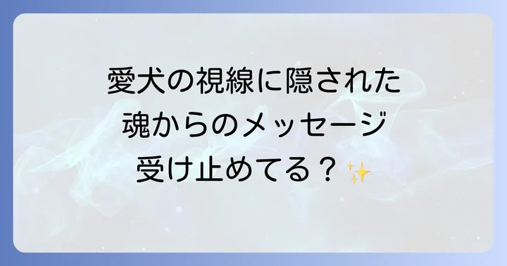 犬の第六感とスピリチュアルな能力