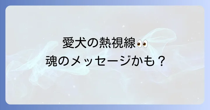 犬に見つめられた時に意識したいこと