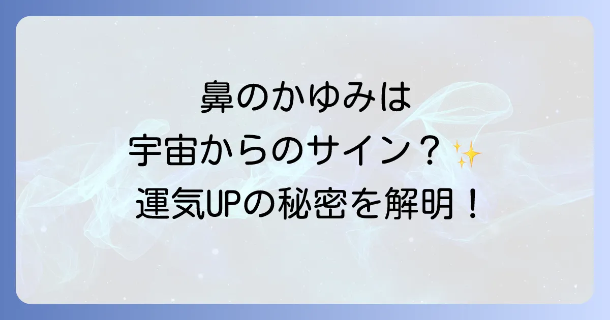 鼻の頭がかゆいスピリチュアルの意味を徹底解説!幸運のサインから注意すべき警告まで