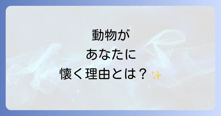 動物が寄ってくる人のスピリチュアルな特徴とは？