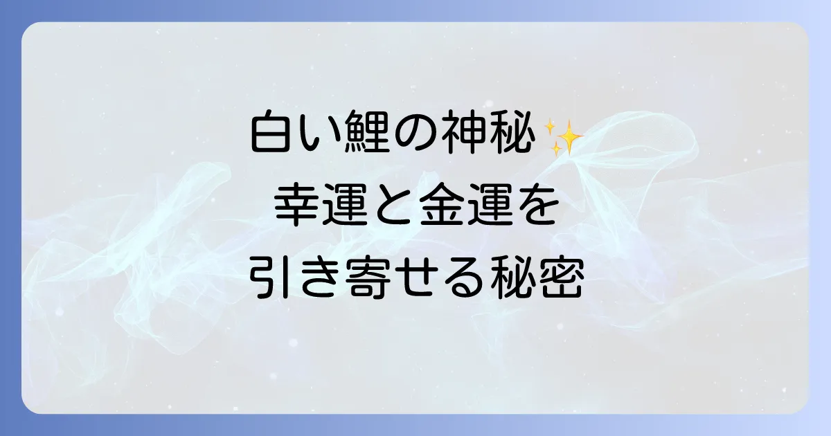 白い鯉のスピリチュアルな意味を徹底解説!幸運と金運を引き寄せる神秘の力