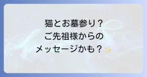お墓参りと猫のスピリチュアルな意味とマナーを徹底解説！ご先祖様との絆を深める方法