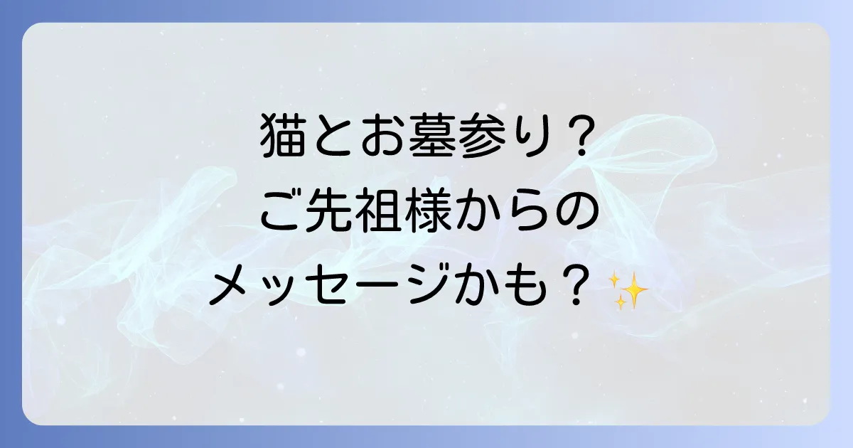 お墓参りと猫のスピリチュアルな意味とマナーを徹底解説!ご先祖様との絆を深める方法