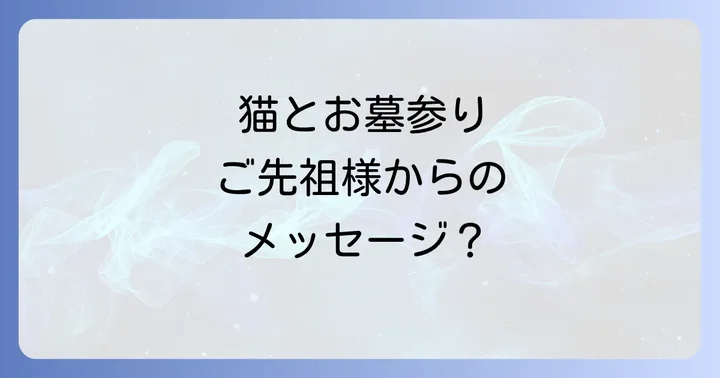 お墓参りに猫を連れて行くのはアリ？ナシ？マナーと注意点