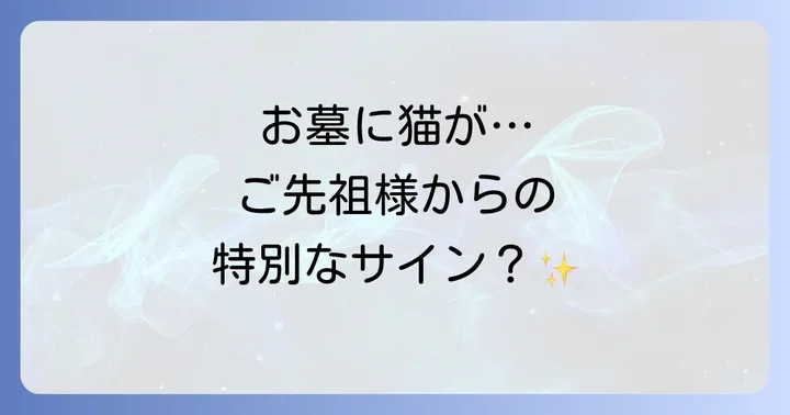 お墓に猫が現れるスピリチュアルな意味とは？ご先祖様からのメッセージ