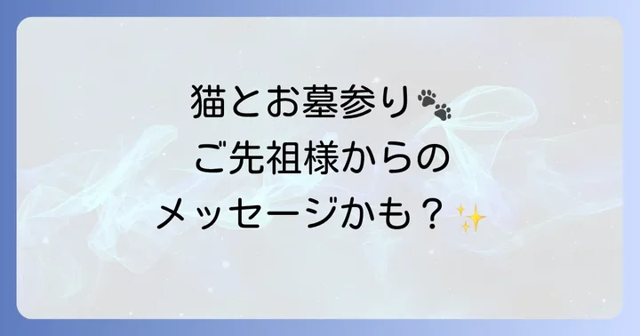 大切な猫とのスピリチュアルな絆を深める供養方法