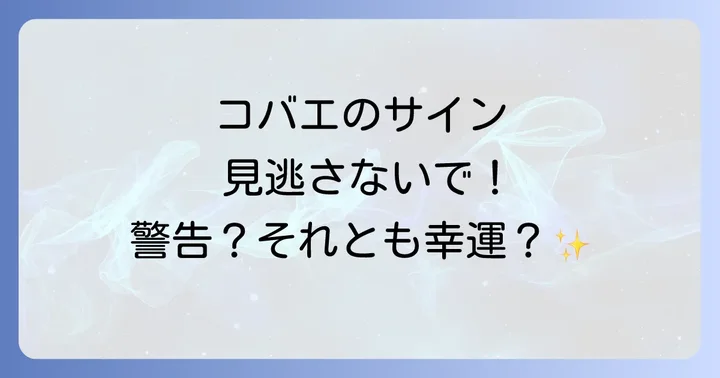 コバエのスピリチュアルなメッセージへの対処法