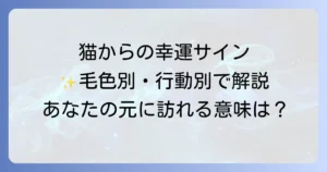 猫に会うスピリチュアルメッセージを徹底解説!毛色や行動でわかる幸運のサインと意味