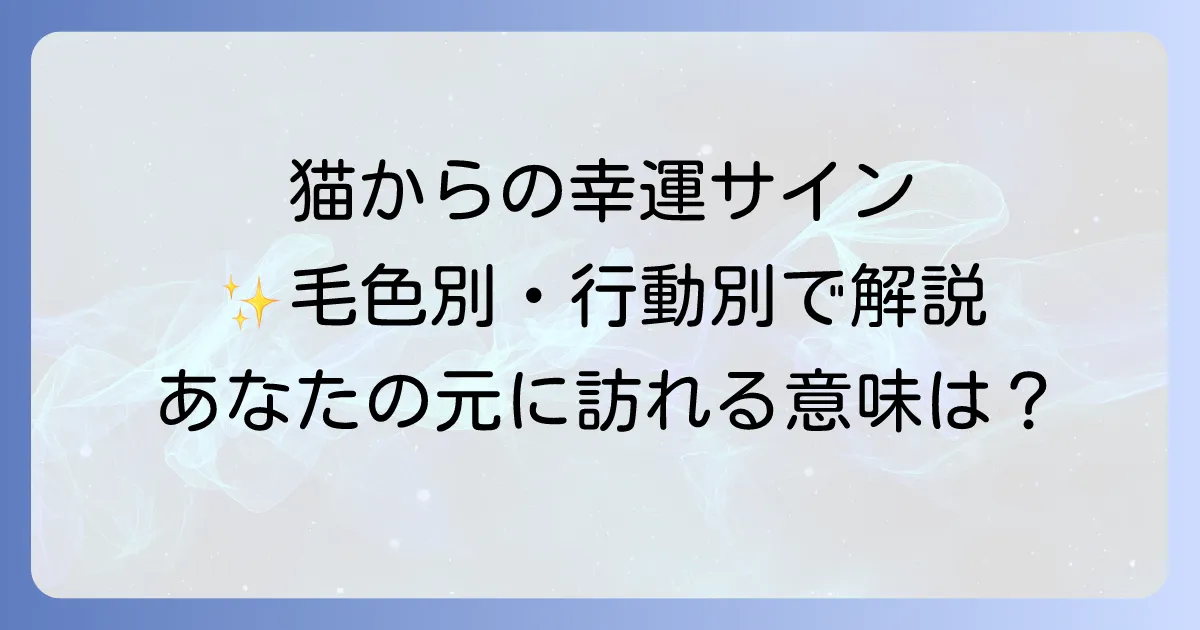 猫に会うスピリチュアルメッセージを徹底解説!毛色や行動でわかる幸運のサインと意味