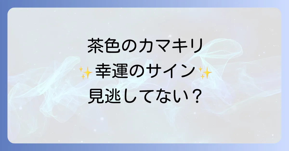 カマキリスピリチュアルにおける茶色に隠された意味とは?幸運のサインと行動のヒント