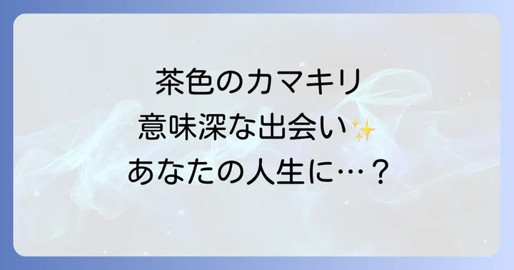【色別】カマキリのスピリチュアルな意味を徹底解説
