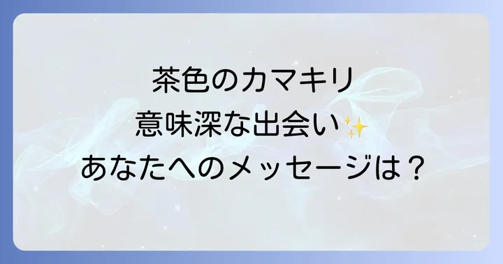 まとめ