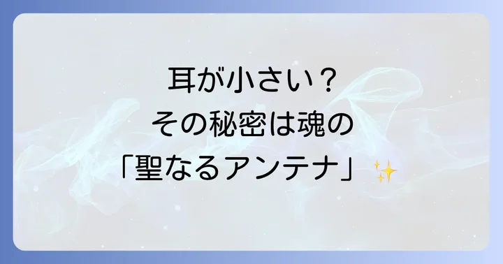 耳が小さい人の人相学的特徴と性格