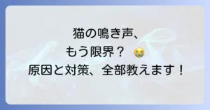 猫の要求鳴きがひどい!原因と対策、病気の可能性まで徹底解説