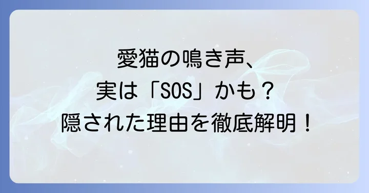 愛猫のひどい要求鳴きに悩んでいませんか?