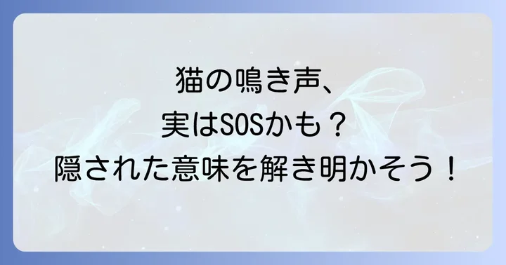 猫の要求鳴きとは?普通の鳴き声との違い