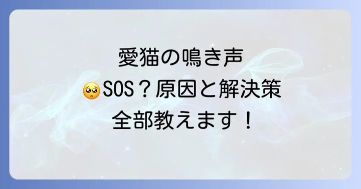 愛猫がひどい要求鳴きをする主な原因