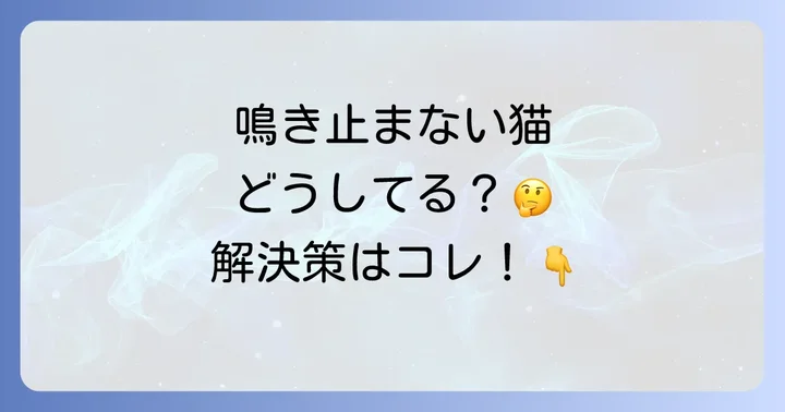 猫の明け方うるさい鳴き声を止める！今日からできる具体的な対策