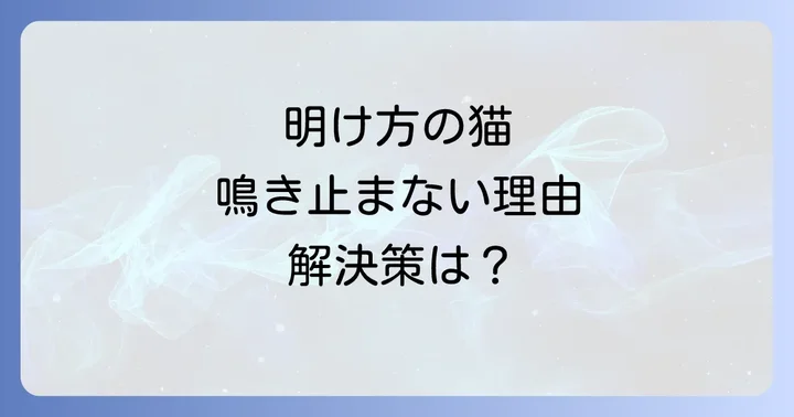 猫の明け方うるさい問題でよくある質問