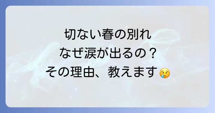 楽曲の魅力を深める制作秘話と編曲のこだわり