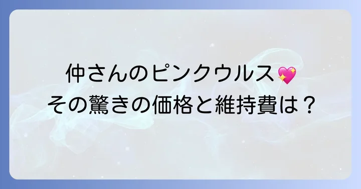 仲里依紗さんの愛車ランボルギーニウルスとは?