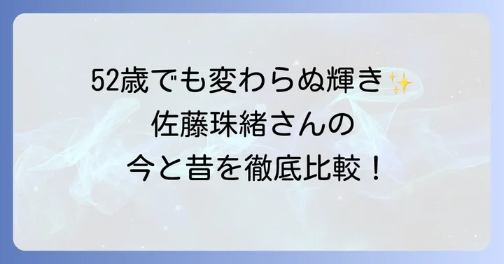 佐藤珠緒さんの今現在の活動内容