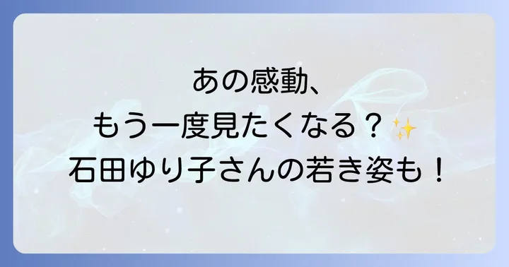 「101回目のプロポーズ」を視聴する方法と関連作品