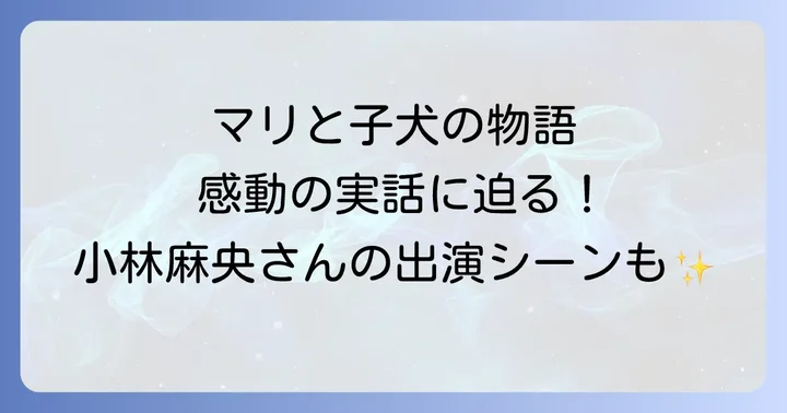 映画「マリと子犬の物語」の概要と実話の背景