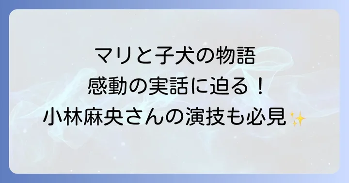 「マリと子犬の物語」が伝える家族の絆と命の尊さ