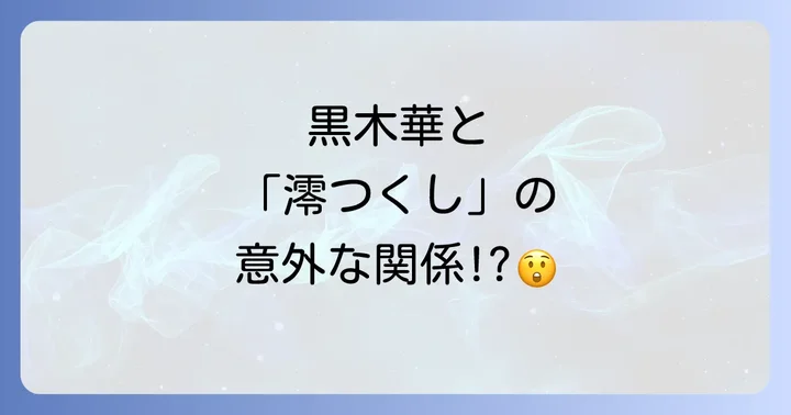 黒木華の演技力と時代劇での存在感