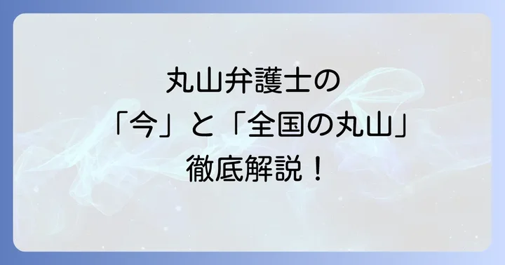 テレビでおなじみ丸山和也弁護士の「現在」に迫る