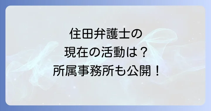住田弁護士の現在の主な活動と所属事務所