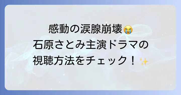 「人生最高の贈りもの」を視聴する方法は？見逃し配信やDVD情報