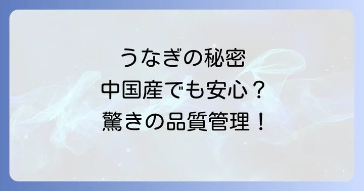 すき家うなぎを最大限に楽しむための情報