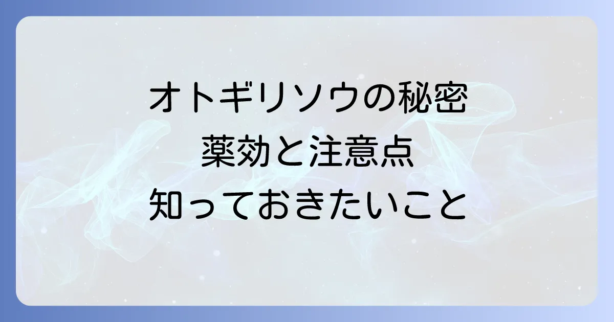 オトギリソウの薬効と安全性:伝統的な利用法から現代の注意点まで徹底解説
