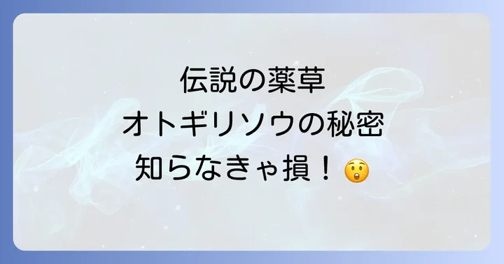 オトギリソウとは？その歴史と特徴