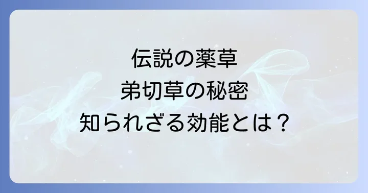 日本のオトギリソウに期待される伝統的な薬効