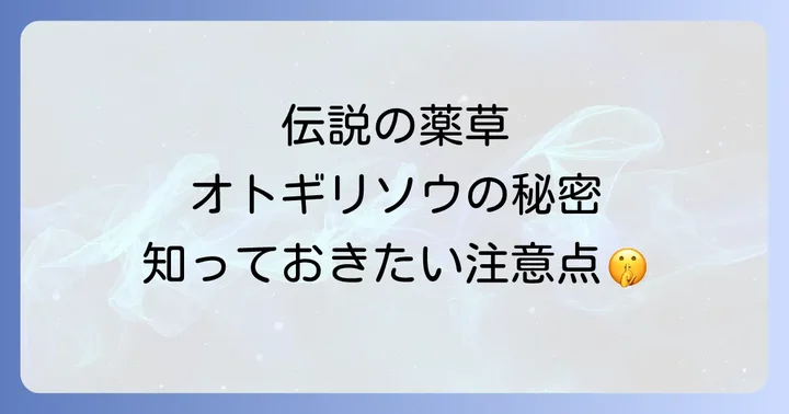 オトギリソウの正しい選び方と摂取方法