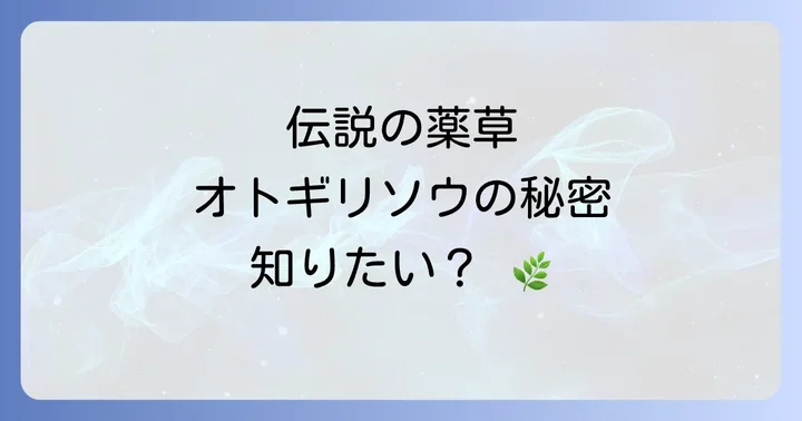 オトギリソウの栽培方法