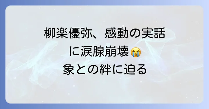 柳楽優弥が魅せる演技：カンヌ受賞後初の主演作