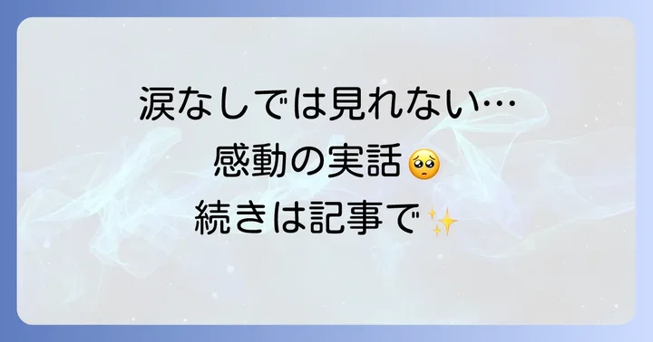 『星になった少年』を観るには？DVD・配信情報