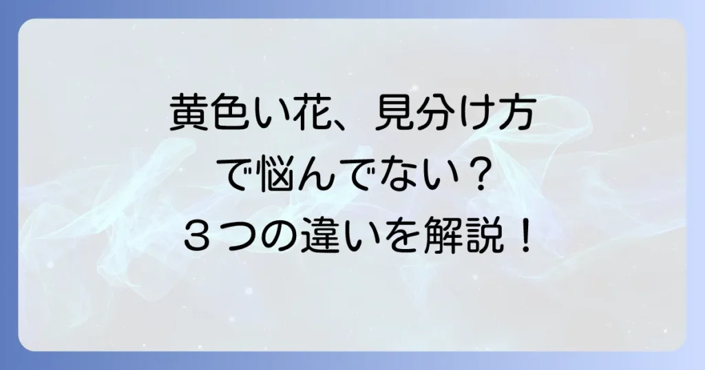 オトギリソウに似た花を見分ける！キンシバイやビヨウヤナギとの違いを徹底解説