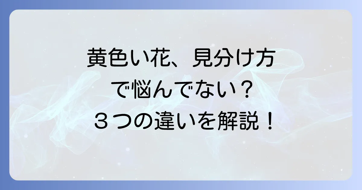 オトギリソウに似た花を見分ける!キンシバイやビヨウヤナギとの違いを徹底解説