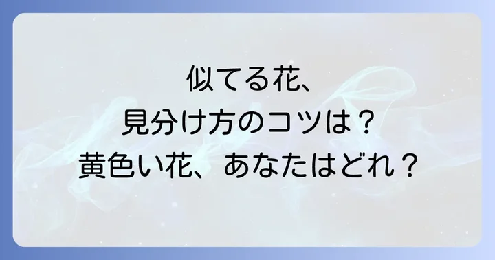 オトギリソウと間違えやすい!似ている花の種類と見分け方