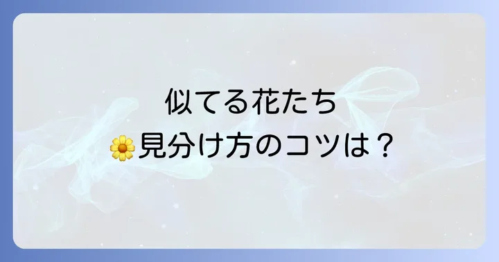 オトギリソウ属の植物を見分けるための具体的なコツ