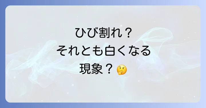 ハンターレインブーツの「白くなる現象」とは？ひび割れとの違いと対処法